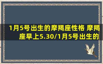 1月5号出生的摩羯座性格 摩羯座早上5.30/1月5号出生的摩羯座性格 摩羯座早上5.30-我的网站